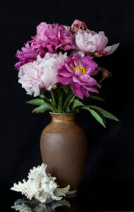 Peonies with Shell