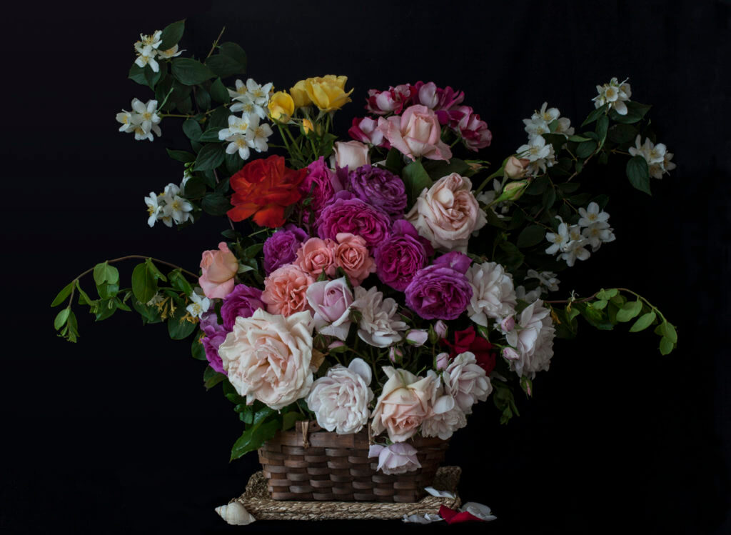 Roses in a Basket (after Rachel Ruysch)