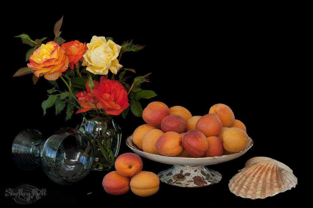 still life with apricots