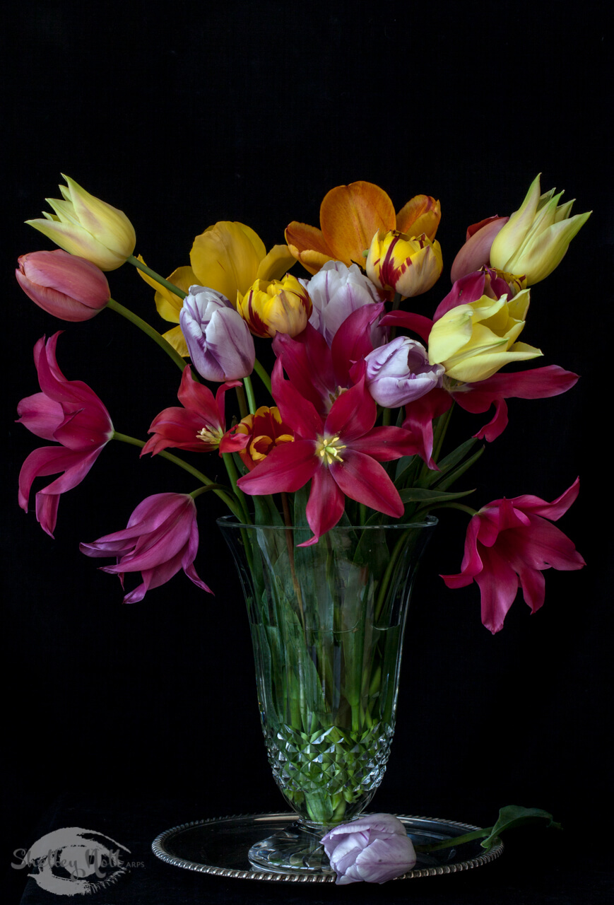 Tulips in a Crystal Vase