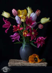 Tulips in a Pottery Vase