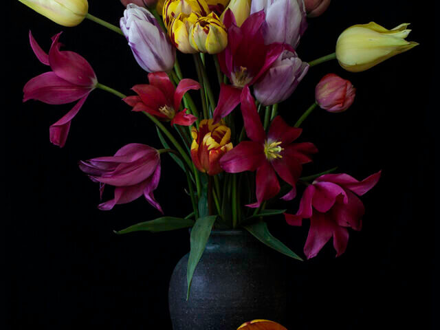 Tulips in a Pottery vase