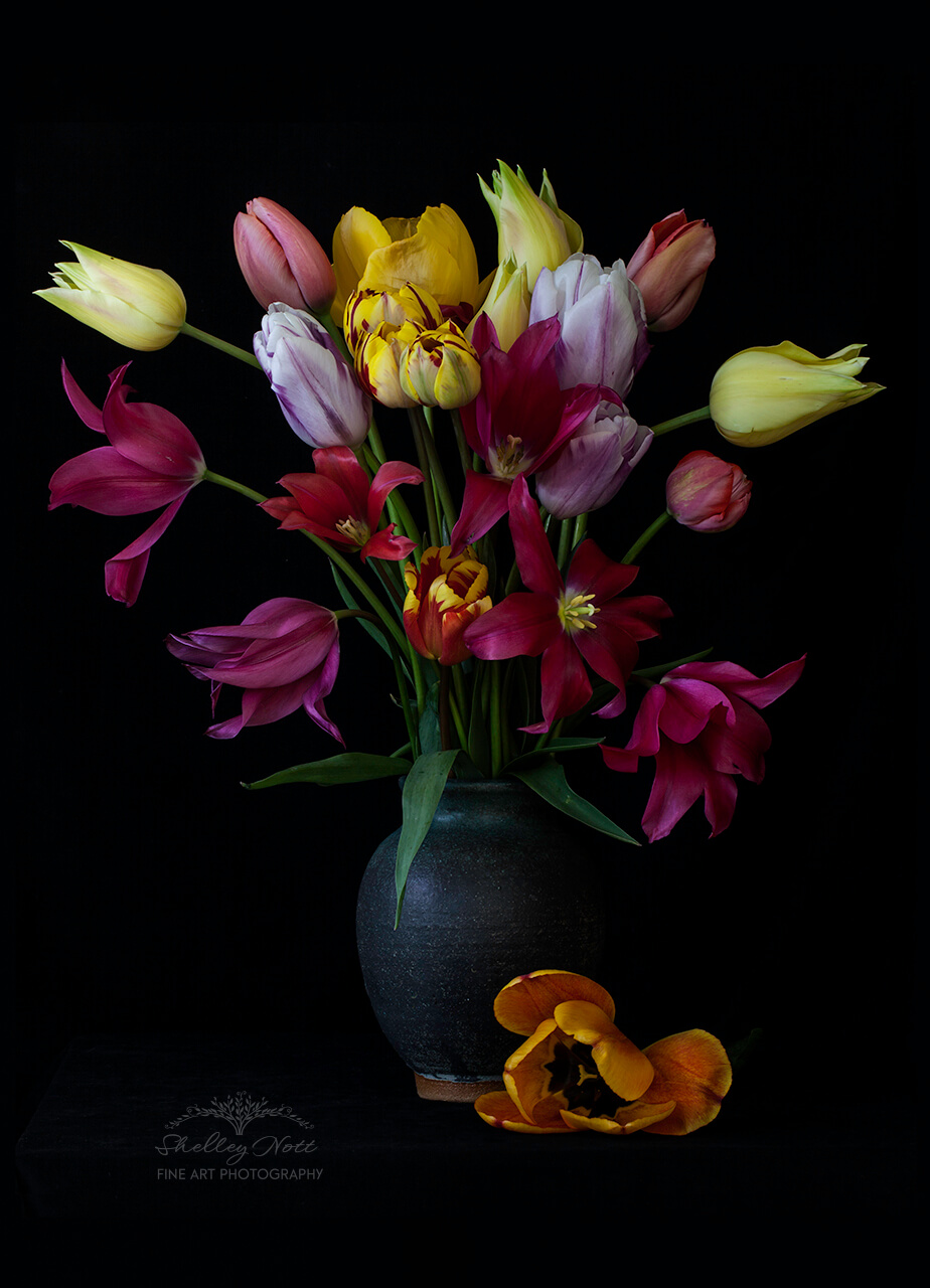 Tulips in a Pottery vase