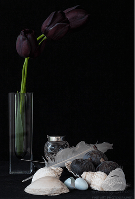 Still Life with Black Tulips