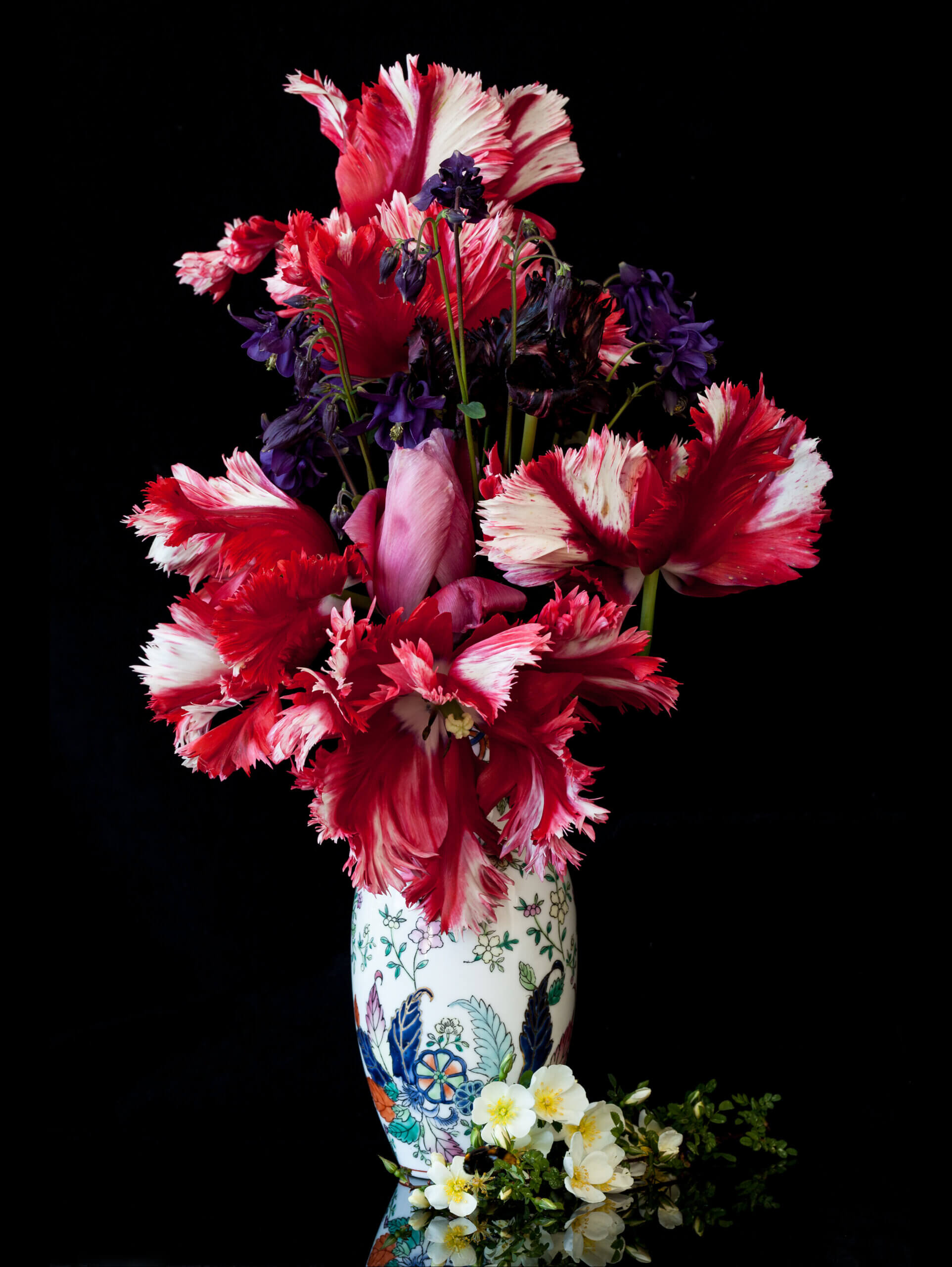 chinese vase containing tulips and columbine with a Dunwich Rose laying at its base