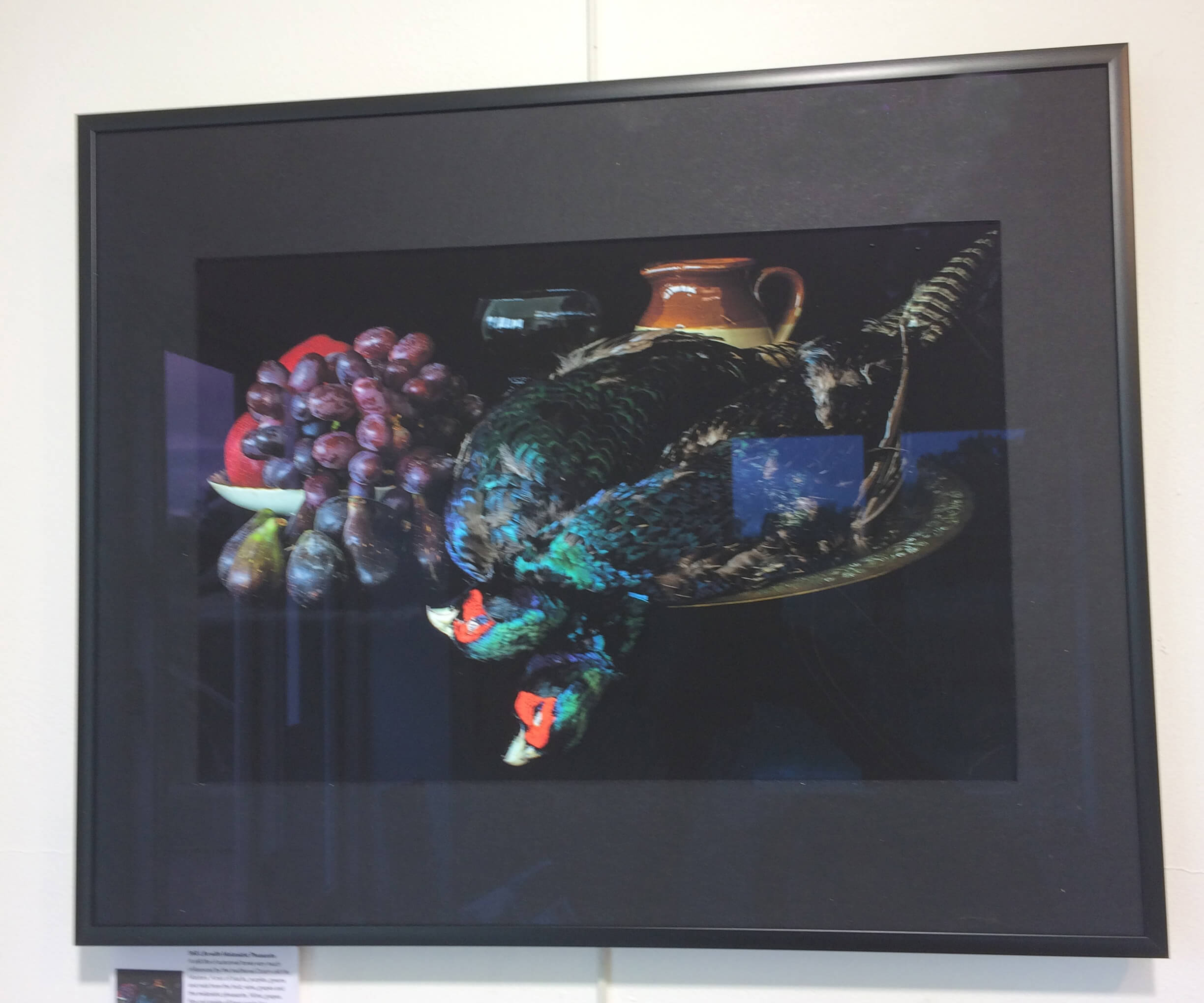 Still Life with Melanistic Pheasants