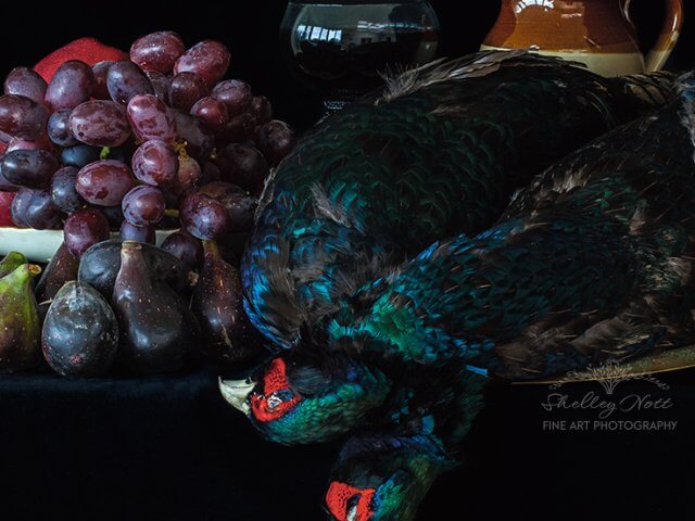 still life with melanistic pheasants